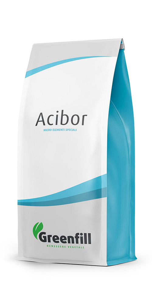 acibor-rett