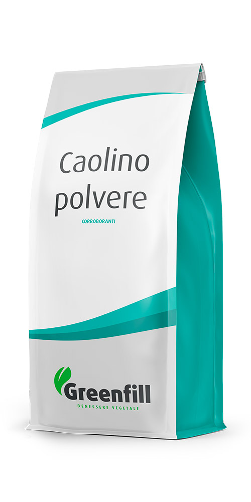 caolinopolvere-rett